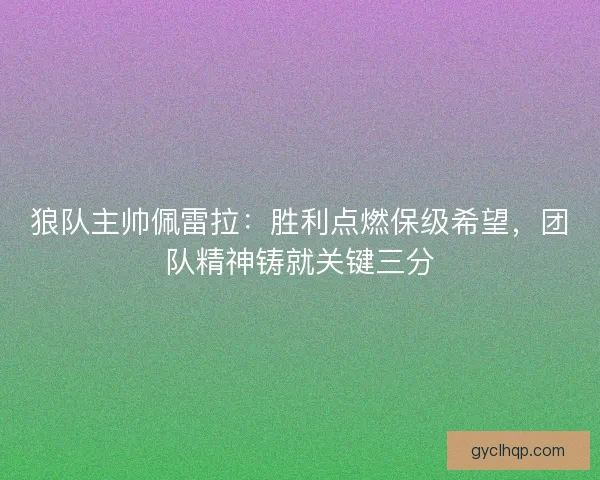 狼队主帅佩雷拉：胜利点燃保级希望，团队精神铸就关键三分